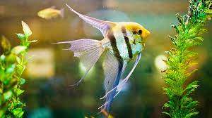 Logo Voluptatem Qui ad c aménagement intérieurs des combles Hautes-Alpes 05